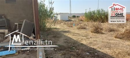 Usine Le Roux a vendre a Utique