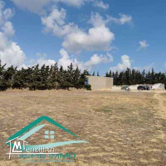 VT758Terrain agricole 7226 m² à Kelibia