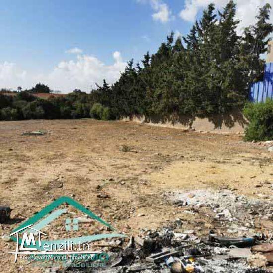 VT758Terrain agricole 7226 m² à Kelibia