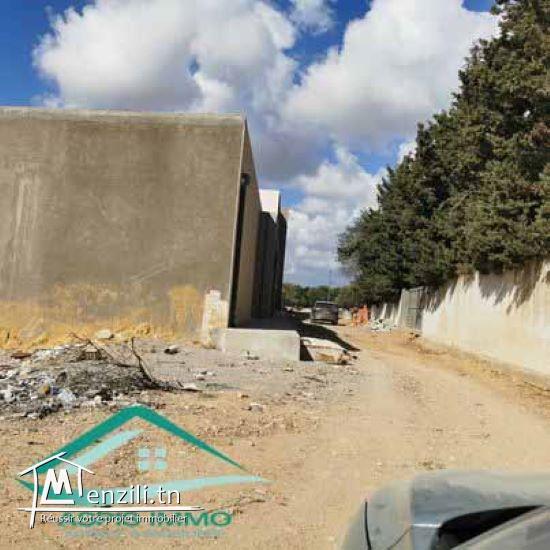 VT758Terrain agricole 7226 m² à Kelibia