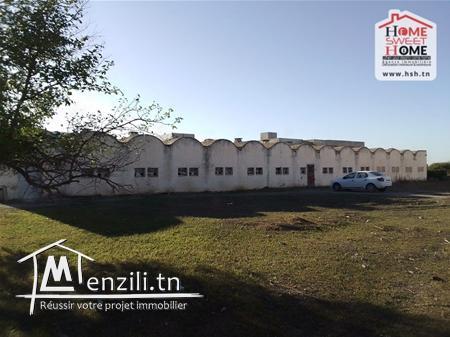 Terrain Vidal à Vendre à Mornag