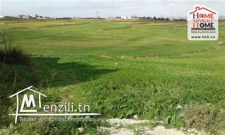 Terrain Agricole Brun à Vendre à Sanhaja