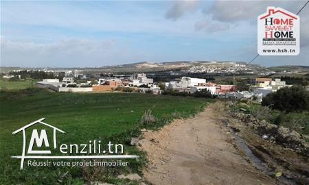 Terrain Agricole Brun à Vendre à Sanhaja