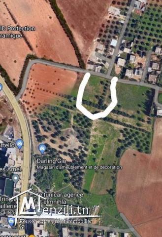 Terrain à vendre à Mnihla ارض للبيع في المنيهلة