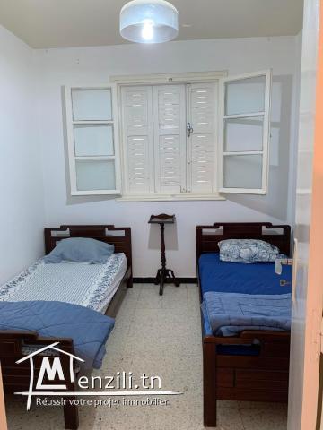 A louer s+1 à nouvelle Ariana