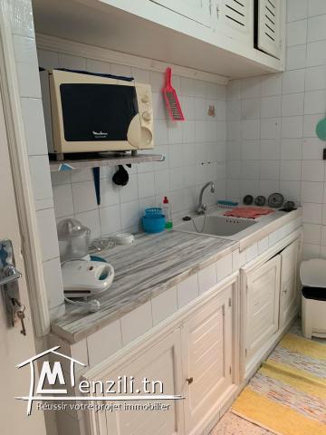 A louer s+1 à nouvelle Ariana