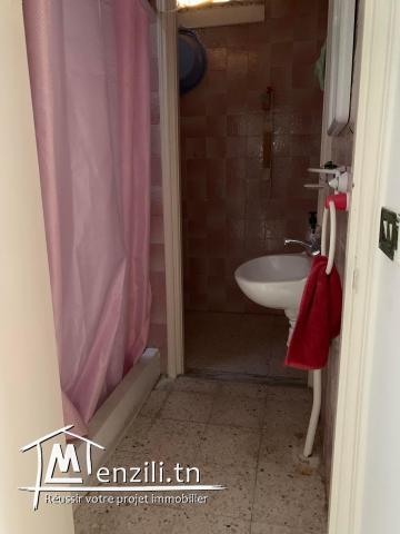 A louer s+1 à nouvelle Ariana