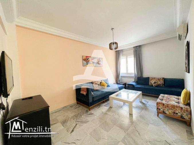 location S+1 meublé au lac2