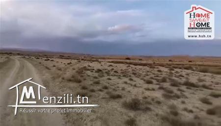 Terrain Agricole Guyot à Vendre à Sidi Aich