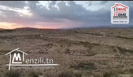 Terrain Agricole Guyot à Vendre à Sidi Aich