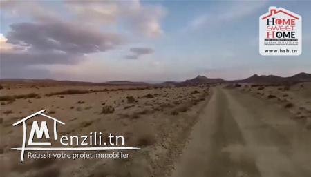 Terrain Agricole Guyot à Vendre à Sidi Aich