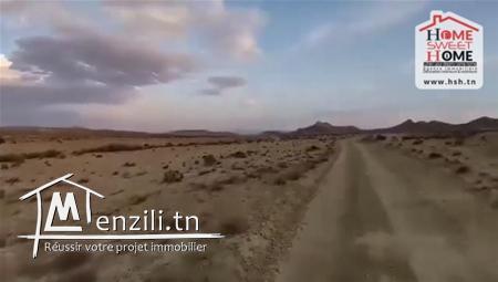 Terrain Agricole Guyot à Vendre à Sidi Aich