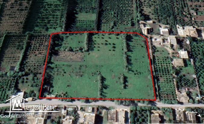 Beau terrain à 5km de la plage sidi raïs