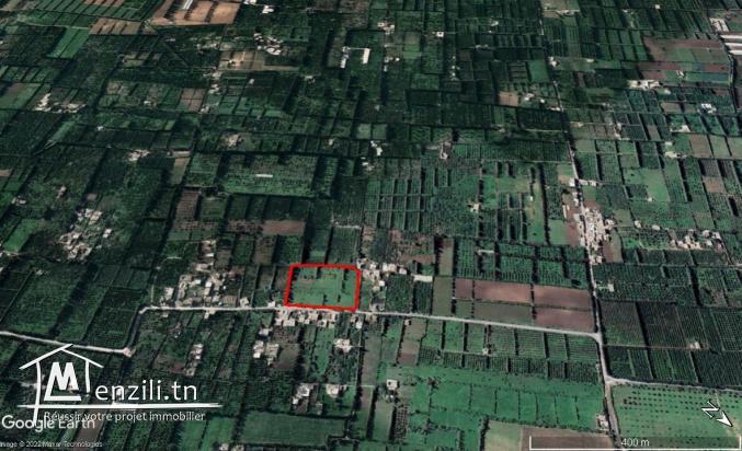 Beau terrain à 5km de la plage sidi raïs