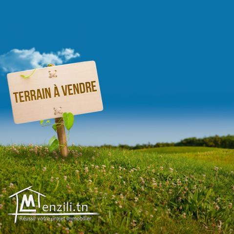Terrain à vendre à Soukra
