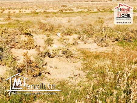 Terrain Agricole Tiba à Vendre à Sidi Aich