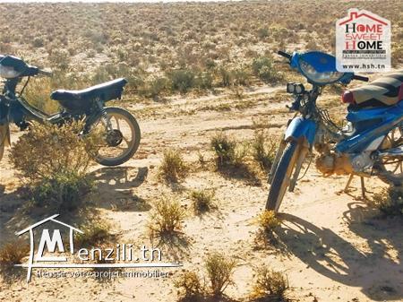 Terrain Agricole Tiba à Vendre à Sidi Aich