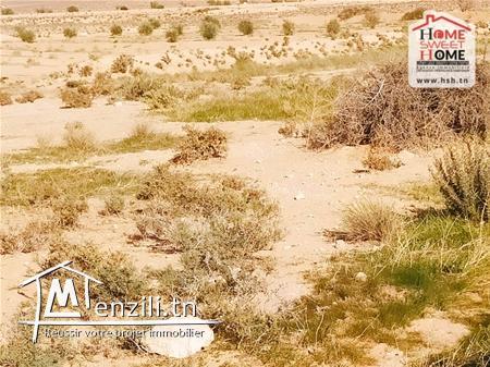 Terrain Agricole Tiba à Vendre à Sidi Aich