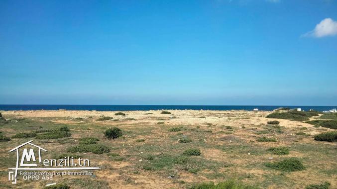 un terrain pied dans l'eau à el haouaria