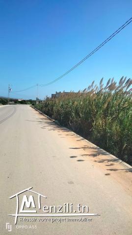 un terrain pied dans l'eau à el haouaria
