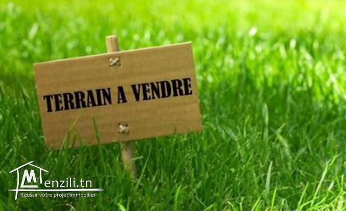Terrain à vendre à Ras Jdir