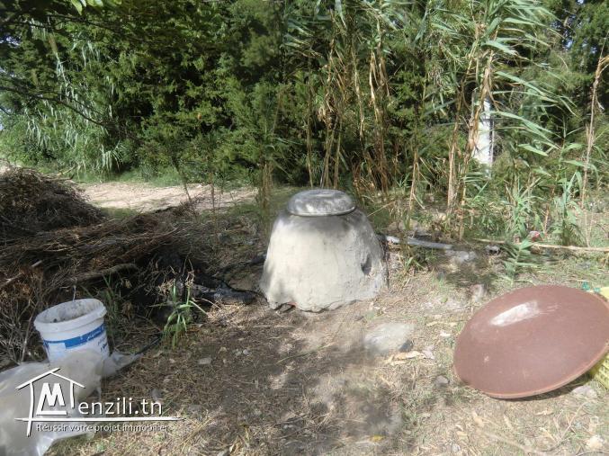 offre a ne pas raté maison 38000 dt