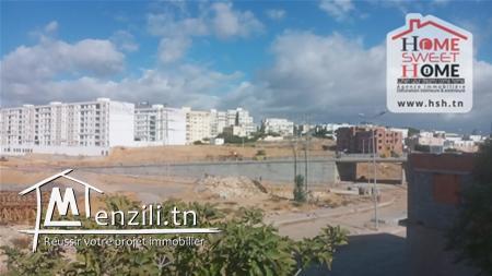 Terrain David a vendre a manar1