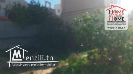 Terrain David a vendre a manar1