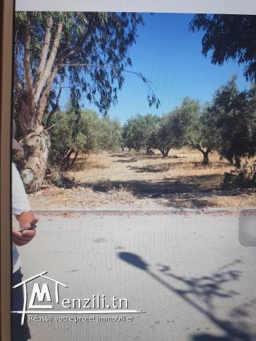 Terrain a usage habitation a vendre