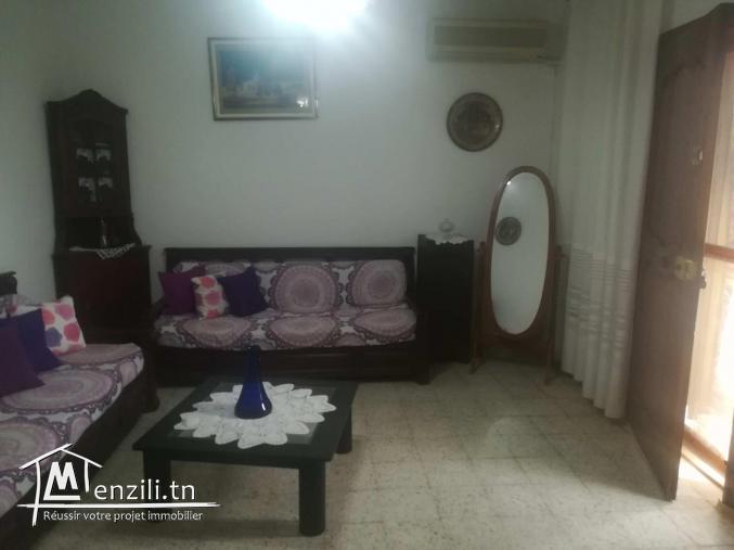 Très bel appartement de taille moyenne