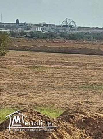 أرض للبيع صالحة للبناء بطريق المطار كلم 14