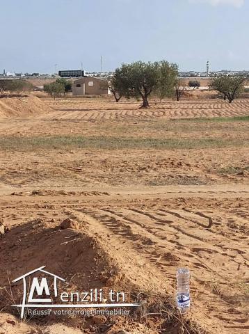 أرض للبيع صالحة للبناء بطريق المطار كلم 14