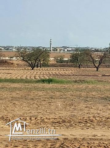 أرض للبيع صالحة للبناء بطريق المطار كلم 14