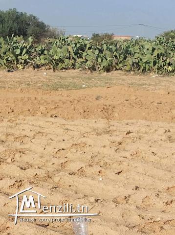 أرض للبيع صالحة للبناء بطريق المطار كلم 14