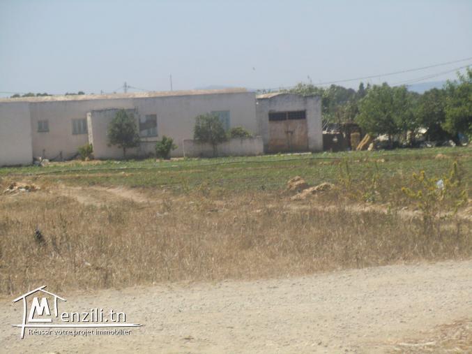 800m² a vendre offre a ne pas raté