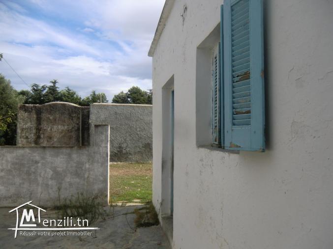 offre a ne pas raté maison arab