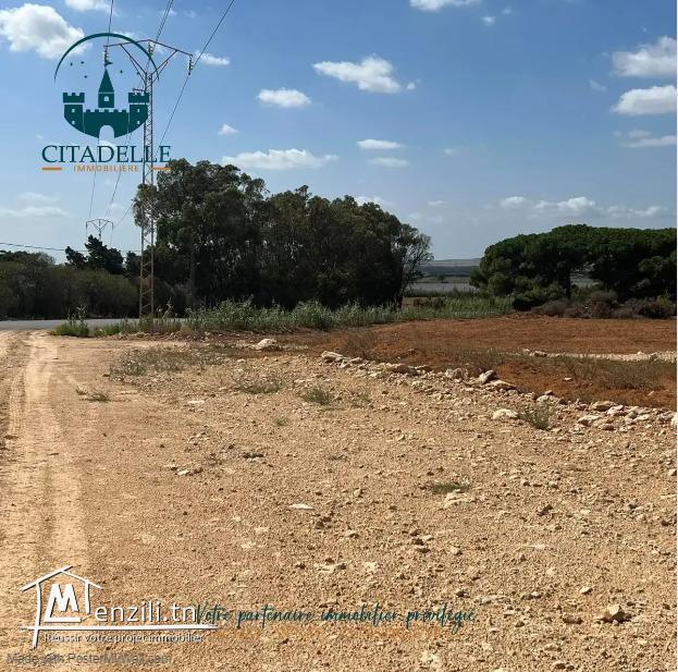 أراضي# على الطريق الرئيسي في دار علوش قليبية