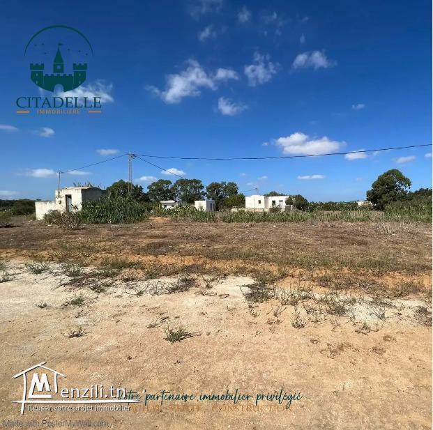 أراضي# على الطريق الرئيسي في دار علوش قليبية