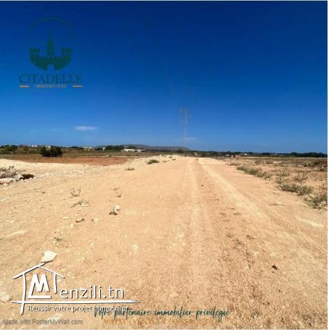 أراضي# على الطريق الرئيسي في دار علوش قليبية