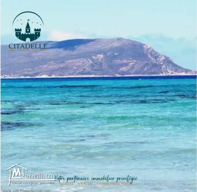 أراضي# على الطريق الرئيسي في دار علوش قليبية