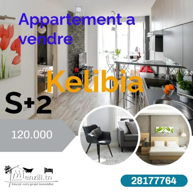 Appartement a vendre situé à "jinen mansoura "kelibia