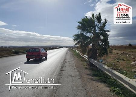 Terrain Perez à Vendre d'EL Mourouj