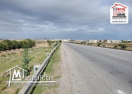 Terrain Perez à Vendre d'EL Mourouj