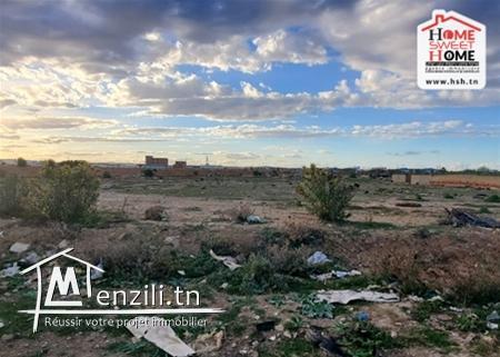 Terrain Perez à Vendre d'EL Mourouj