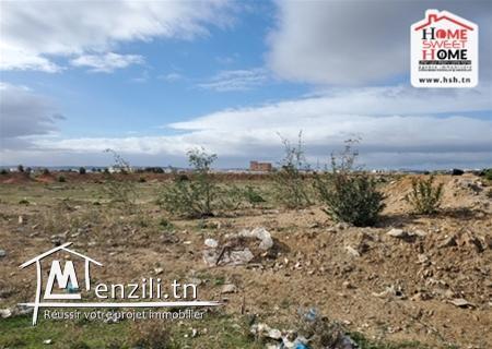 Terrain Perez à Vendre d'EL Mourouj