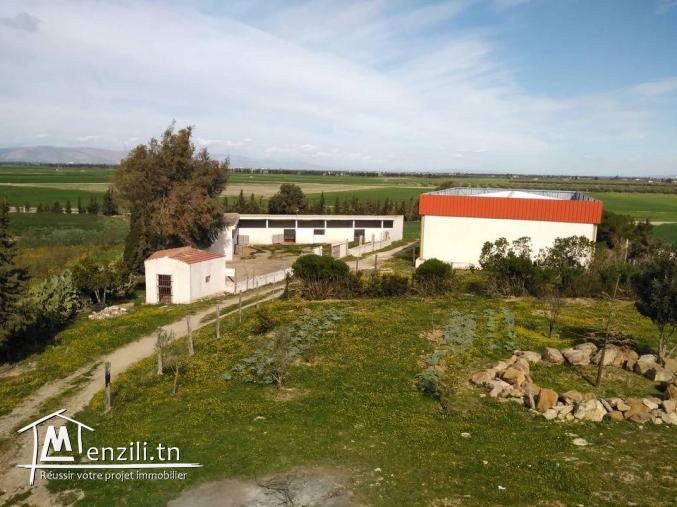 فيرما للبيع