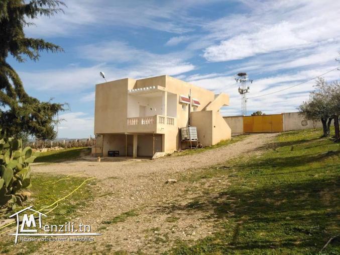 فيرما للبيع