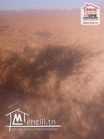 Terrain Agricole Aich à Vendre à Sidi Aich