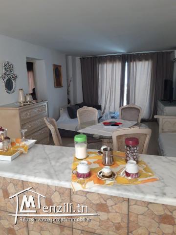 Appartement meublé a la marsa par jour