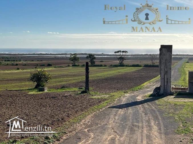 Des terrains à vendre: Chatt zouhour _Lebna